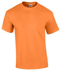 BLANK SHIRT (Gildan 500 cotton 100%)