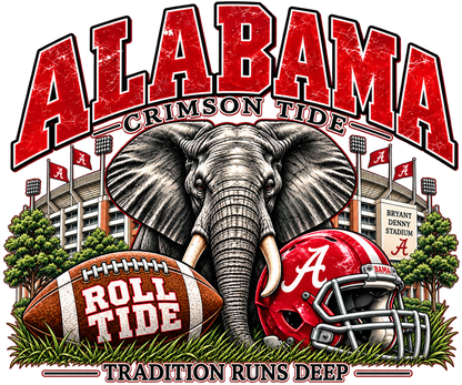 FOOTBALL 12