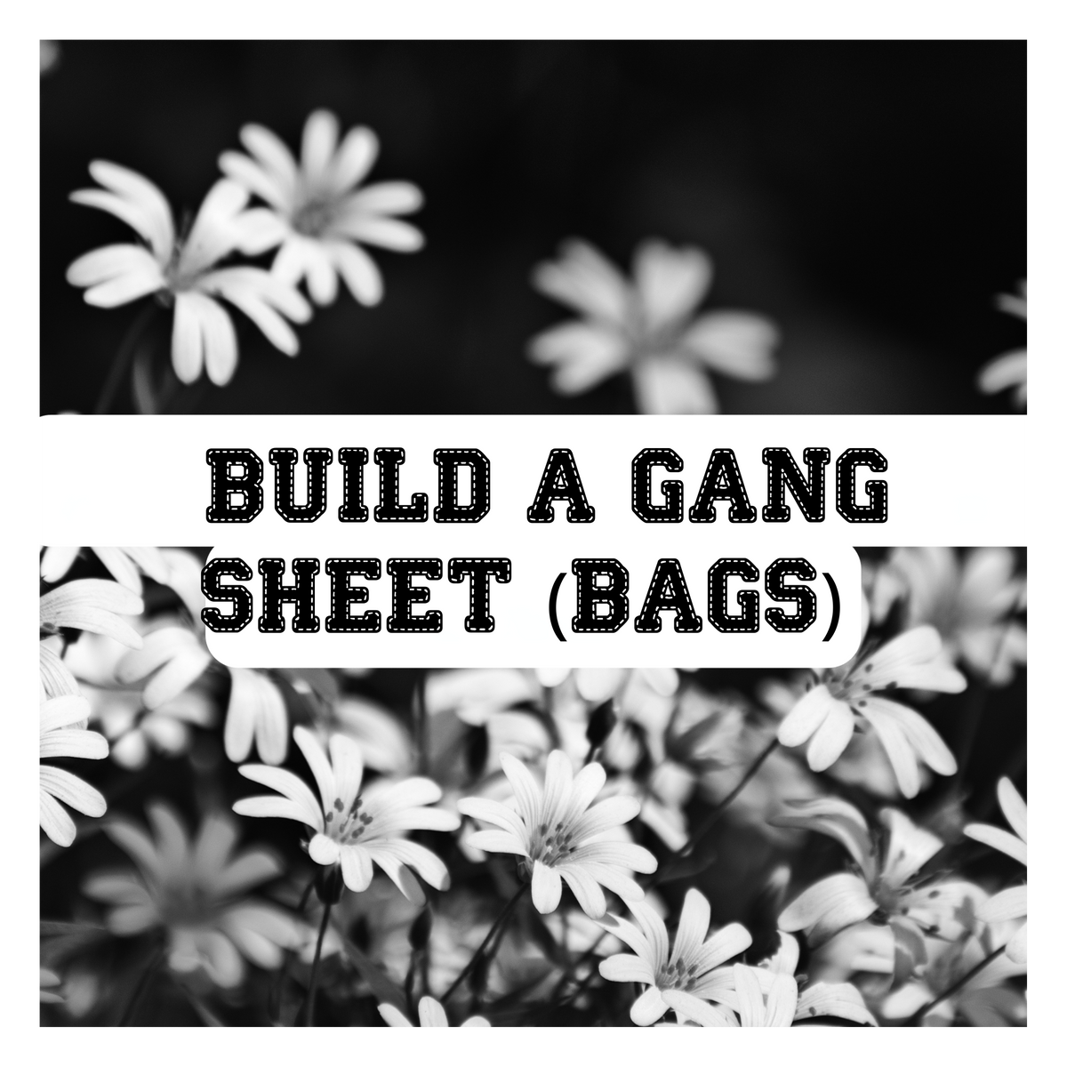 Shell Gang BUILD A GANG SHEET (BAGS) – Shell Print Shop