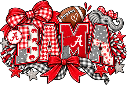 FOOTBALL 13