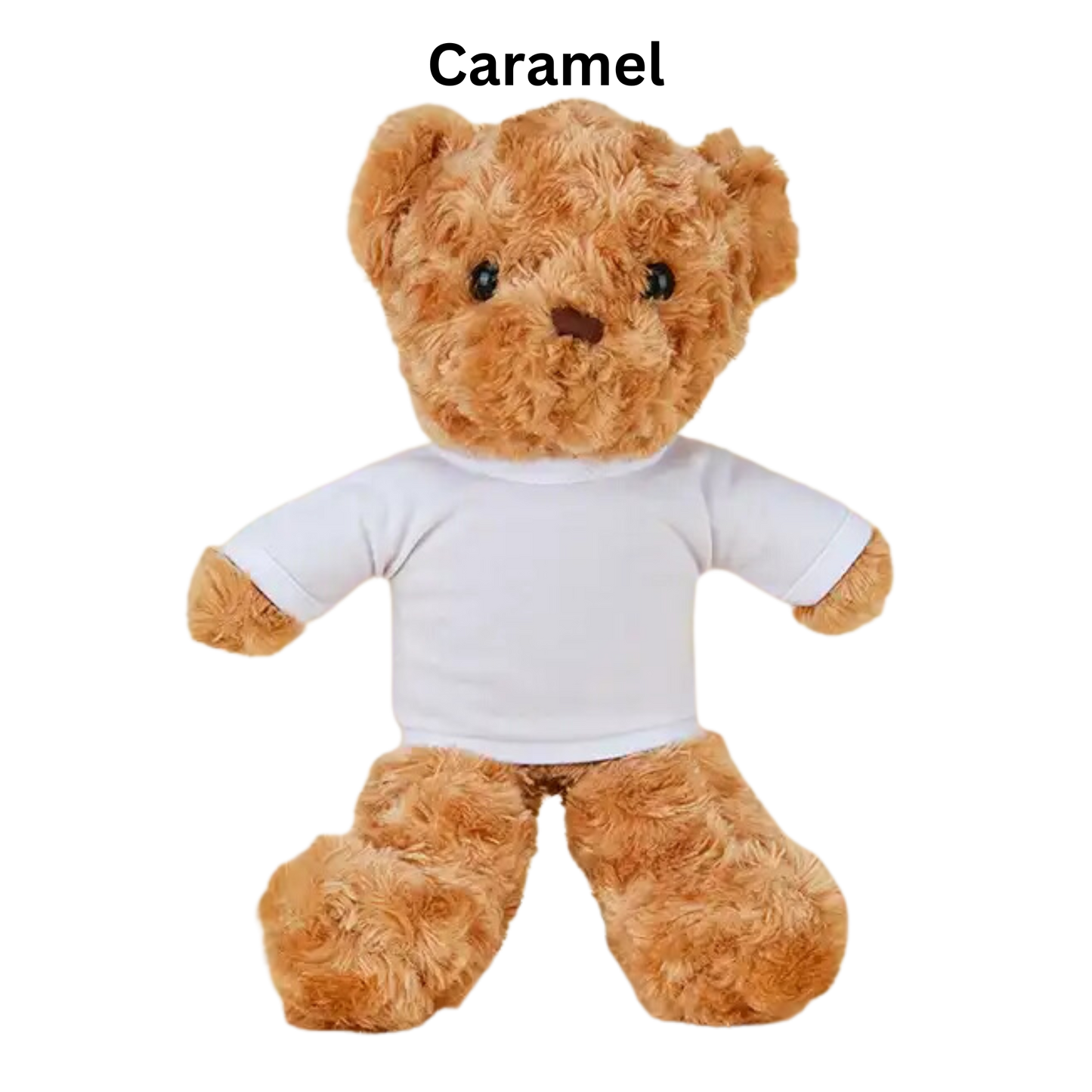 Sublimation or DTF Teddy Bear