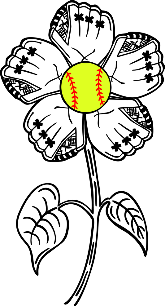 SOFTBALL SOFT2