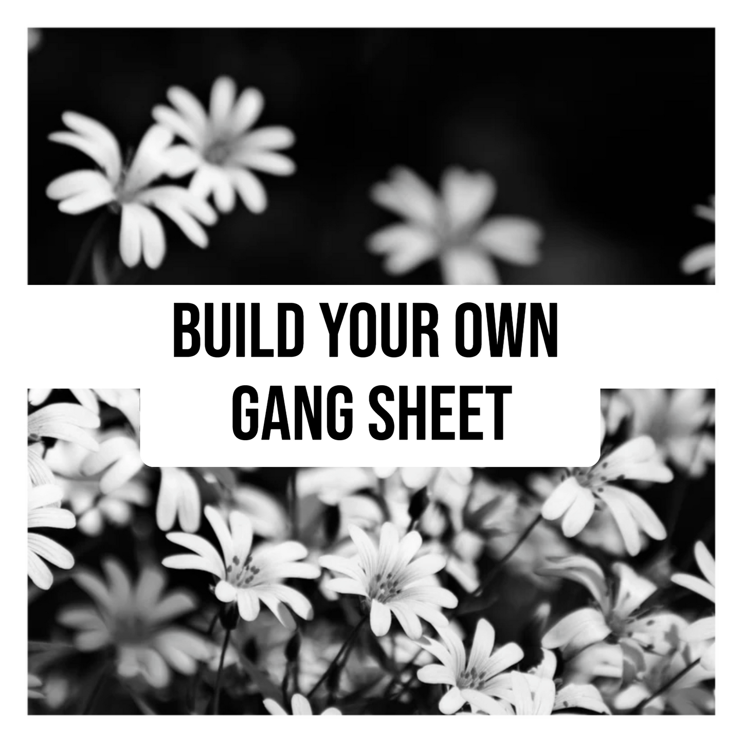 GANG SHEET BUILDER (NEW Builder)